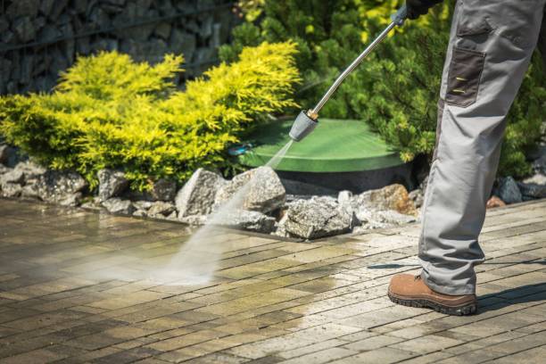 Best Solar Panel Cleaning  in Flemington, NJ